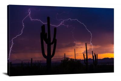 CW3060-saguaro-national-park-monsoon-storm-00