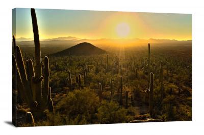 Sun over the Saguaro Landscape, 2018 - Canvas Wrap