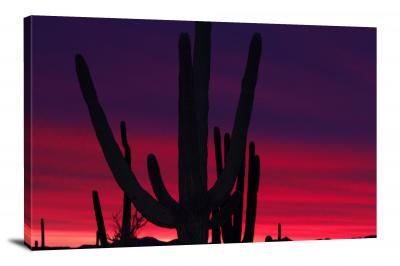 Raging Desert, 2012 - Canvas Wrap