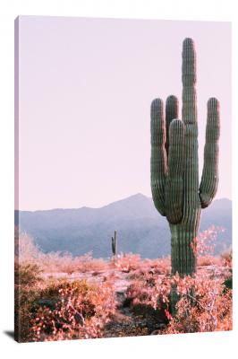 Standing Saguaro Cactus, 2018 - Canvas Wrap