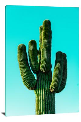 CW3068-saguaro-national-park-green-cactus-against-blue-sky-00