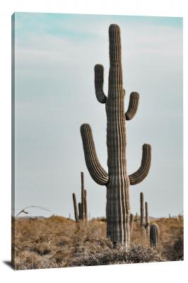 Dusty Cactus Landscape, 2021 - Canvas Wrap