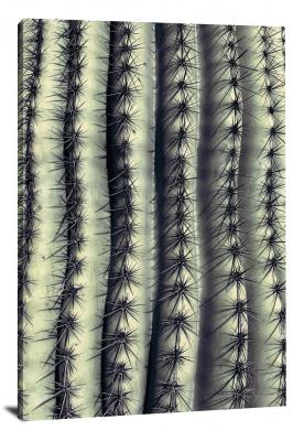 Cactus Texture, 2020 - Canvas Wrap