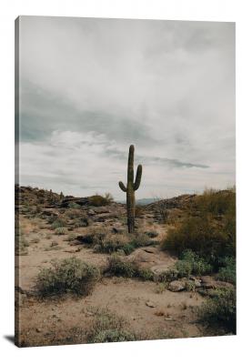 A Lone Cactus in the Desert, 2022 - Canvas Wrap