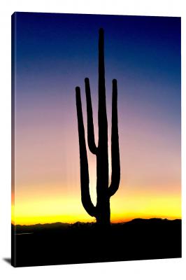 CW3077-saguaro-national-park-gradient-of-sunset-colors-00