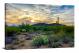 Desert Cactus Sunset, 2020 - Canvas Wrap