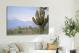 Close Up Saguaro Cactus, 2021 - Canvas Wrap3