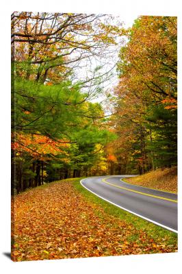 Winding Road with Leaves, 2021 - Canvas Wrap