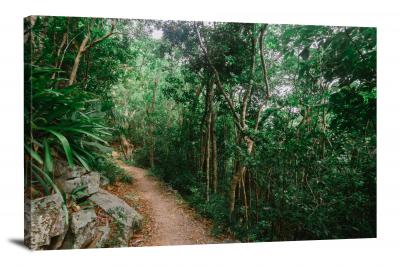 Virgin Forest Path, 2021 - Canvas Wrap
