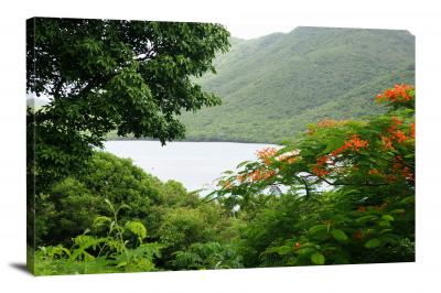 Overlooking Leinster Bay from Annaberg, 2011 - Canvas Wrap