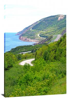 CW3162-virgin-islands-national-park-looking-back-on-cabot-trail-00