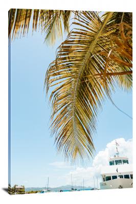 CW3168-virgin-islands-national-park-sailboat-and-palm-fronds-00