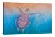 Sea Turtle Gradient, 2020 - Canvas Wrap