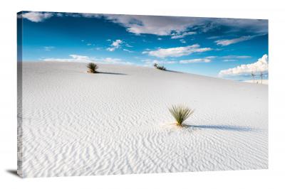 White Sands with Bushes, 2020 - Canvas Wrap