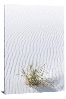 CW3191-white-sands-national-park-sole-green-plant-00
