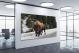 Snowy Bison, 2020 - Canvas Wrap1