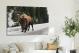 Snowy Bison, 2020 - Canvas Wrap3