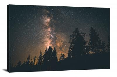 CW1194-yosemite-national-park-galactic-forest-00