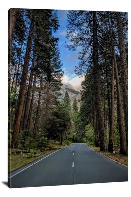 Yosemite Road, 2019 - Canvas Wrap