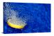 Lemon in the Water, 2016 - Canvas Wrap