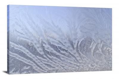 Frost, 2013 - Canvas Wrap