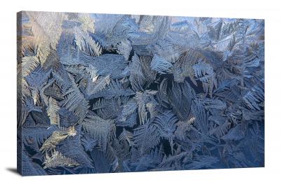 Branches of Ice, 2021 - Canvas Wrap