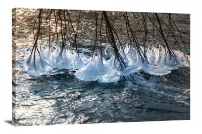Frozen Branches, 2017 - Canvas Wrap