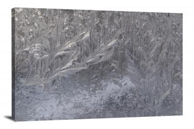 Grey Ice, 2015 - Canvas Wrap