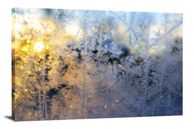 Frost on Leaves, 2021 - Canvas Wrap