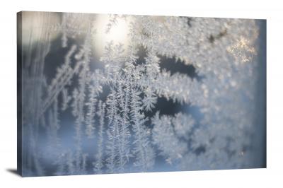 CW8224-ice-spiky-frost-00