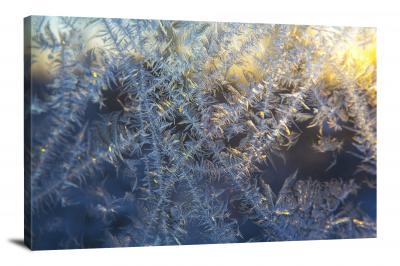 Frost on the Window, 2021 - Canvas Wrap