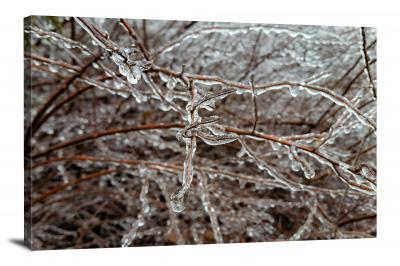 CW8233-ice-thin-branches-00