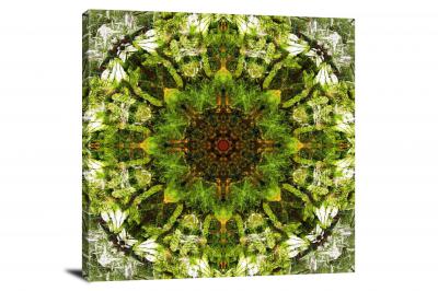 Leafy Green, 2013 - Canvas Wrap