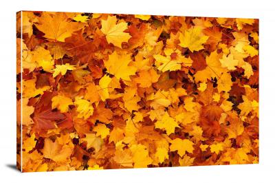 Autumn Leaves, 2013 - Canvas Wrap