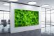 Leafy Lettuce, 2017 - Canvas Wrap1