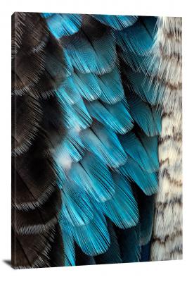 CW4493-fabric-feathers-00