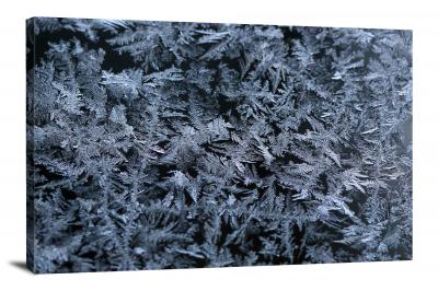 Icy Pine Trees, 2019 - Canvas Wrap