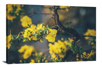 CW4559-nature-yellow-flowers-00