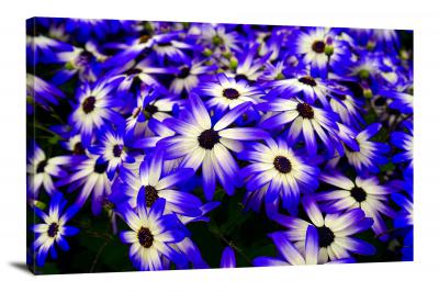 CW4563-nature-purple-flowers-00