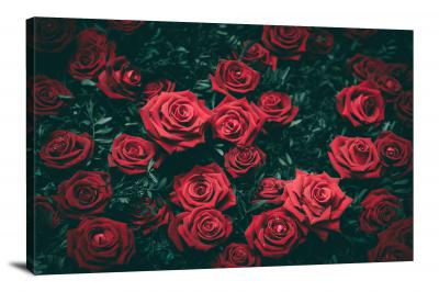 Red Roses, 2017 - Canvas Wrap