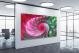 Green and Pink Spirals, 2021 - Canvas Wrap1