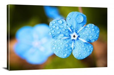 CW8261-raindrops-rain-on-blue-flower-00