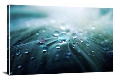 CW8268-raindrops-water-droplets-00