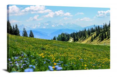 CW9018-hillside-in-the-alps-00