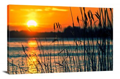 CW9032-reeds-in-the-sunset-00