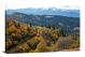 Autumn Trees on the Hillside, 2021 - Canvas Wrap