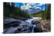Conifers on the River, 2020 - Canvas Wrap