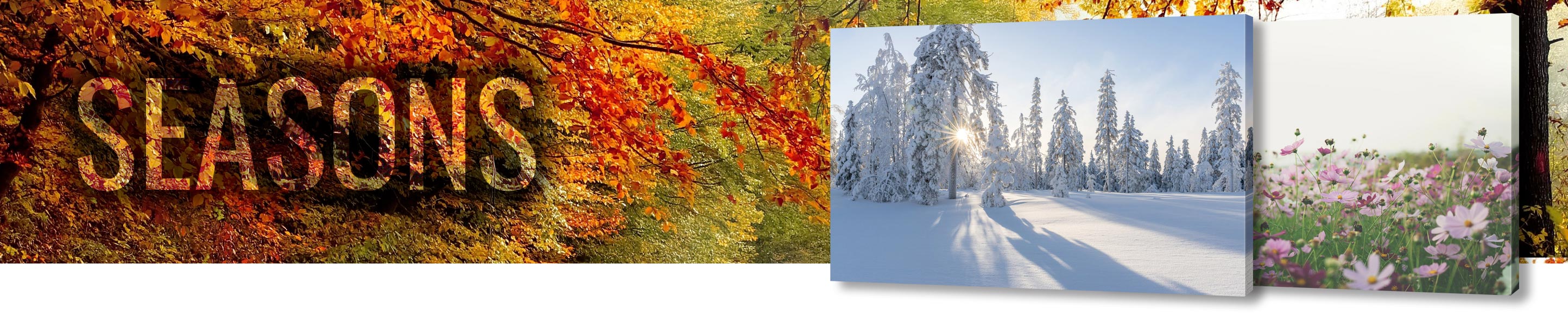 large-canvas-wrap-banner-seasons