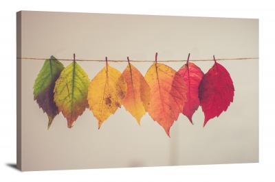 Fall Leaves Line, 2016 - Canvas Wrap