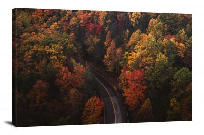 Road through Red Trees, 2017 - Canvas Wrap